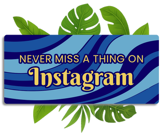 Never Miss a Thing On Instagram